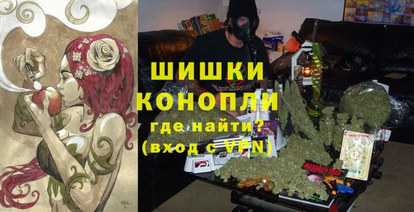 ECSTASY Каменка