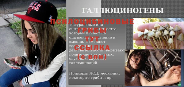 ECSTASY Каменка