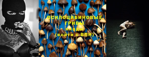 трава Каменногорск