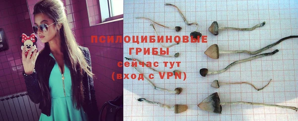spice Каменск-Шахтинский