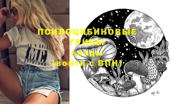 трава Каменногорск