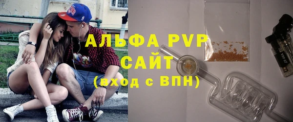 ECSTASY Каменка